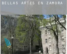 Bellas artes en  Zamora