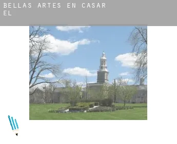 Bellas artes en  Casar (El)