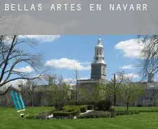 Bellas artes en  Navarra