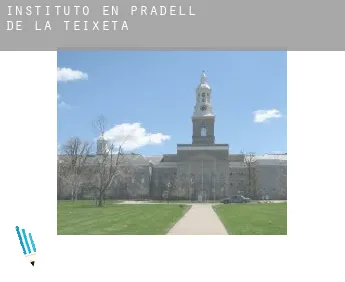 Instituto en  Pradell de la Teixeta
