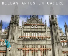Bellas artes en  Cáceres