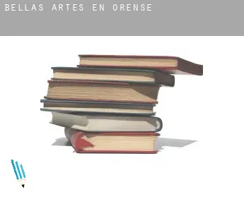 Bellas artes en  Orense