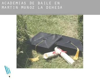 Academias de baile en  Martín Muñoz de la Dehesa