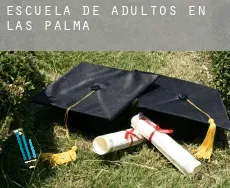 Escuela de adultos en Las Palmas