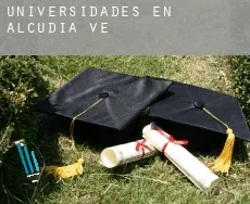 Universidades en  Alcudia de Veo