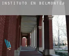 Instituto en  Belmontejo