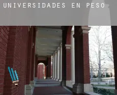 Universidades en Pesoz