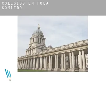 Colegios en  Pola de Somiedo