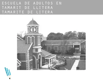 Escuela de adultos en  Tamarit de Llitera / Tamarite de Litera