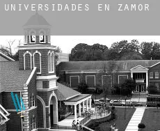 Universidades en  Zamora