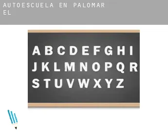 Autoescuela en  Palomar (el)