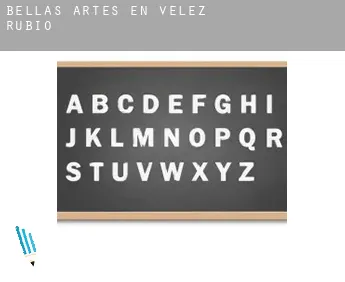 Bellas artes en  Velez Rubio