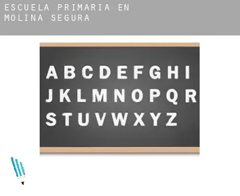 Escuela primaria en   Molina de Segura