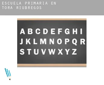 Escuela primaria en   Torà de Riubregós