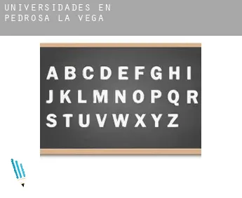 Universidades en  Pedrosa de la Vega