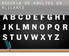 Escuela de adultos en Alicante