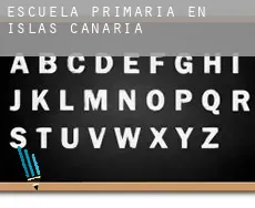 Escuela primaria en Islas Canarias