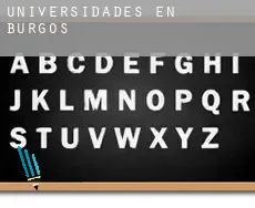 Universidades en  Burgos
