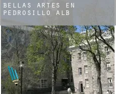 Bellas artes en  Pedrosillo de Alba