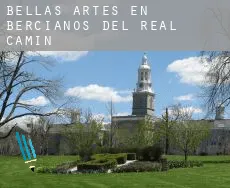 Bellas artes en  Bercianos del Real Camino