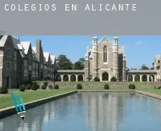 Colegios en Alicante