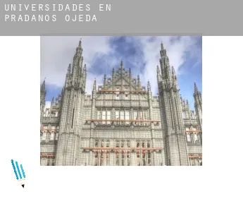 Universidades en  Prádanos de Ojeda