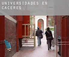 Universidades en  Cáceres