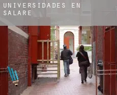 Universidades en Salares