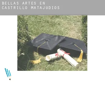 Bellas artes en  Castrillo Matajudíos