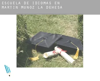 Escuela de idiomas en  Martín Muñoz de la Dehesa