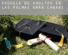 Escuela de adultos en Las Palmas de Gran Canaria