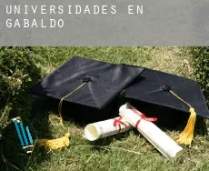 Universidades en  Gabaldón