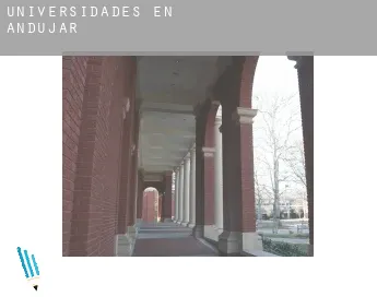 Universidades en  Andújar