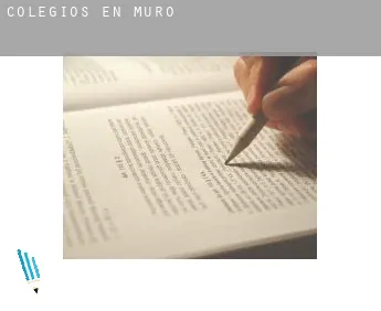 Colegios en  Muro