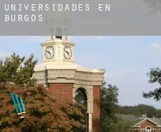 Universidades en  Burgos