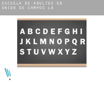 Escuela de adultos en  Unión de Campos (La)
