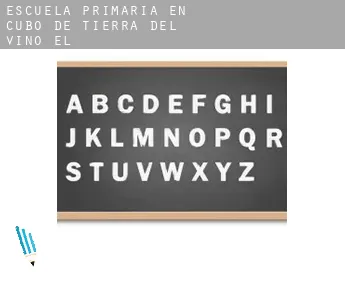 Escuela primaria en   Cubo de Tierra del Vino (El)