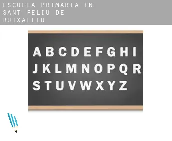 Escuela primaria en   Sant Feliu de Buixalleu