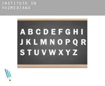Instituto en  Vozmediano