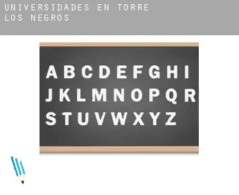 Universidades en  Torre los Negros